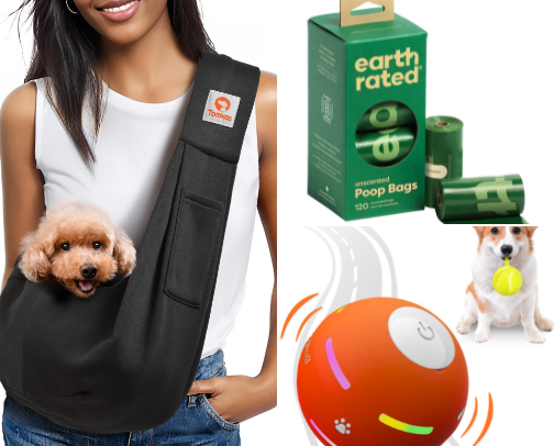 Most Important Items To Bring When Traveling With a Dog cover photo collage