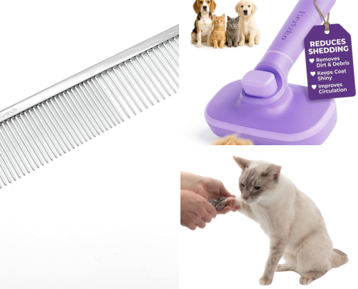 Cat Grooming Essentials the Pros Use (Your Cat Will Still Judge You) cover photo collage