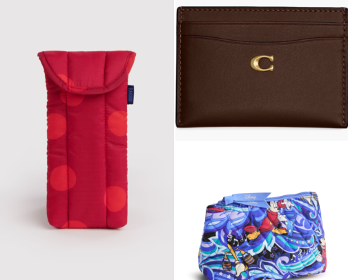 Park Bag Essentials ✨ cover photo collage