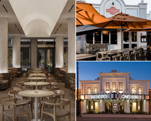 tampa tings 📍 cover photo collage