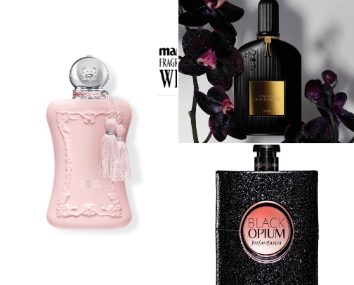Stop Wearing Generic Clean Scents If You Actually Want People to Turn Around: 10 Magnetic Fragrances Engineered for Maximum Compliments and Unapologetic Seduction cover photo collage
