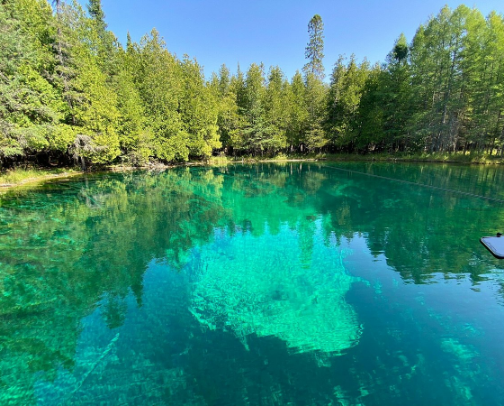 Michigan Must Visits 🧤 cover photo collage