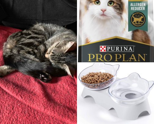 Calling All Cat Lovers cover photo collage