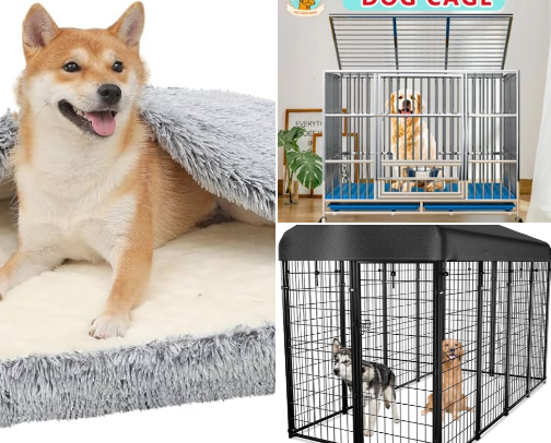 Pet Care Checklist ❤️❤️❤️😊😊😊 cover photo collage