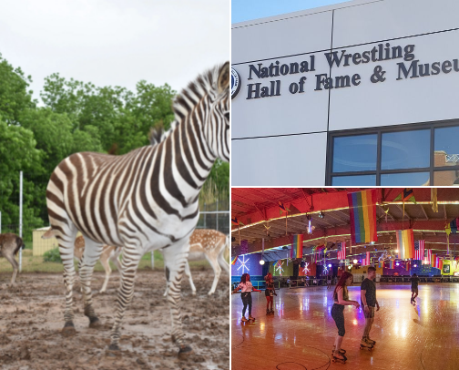 Family Fun in Stillwater cover photo collage
