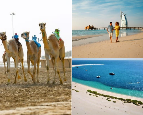 Guide To Uae 🇦🇪 Travel Guide cover photo collage