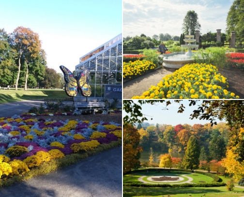 Family Fun in Hamilton: 10 Budget-Friendly Things to Do with Kids (Without Breaking the Bank) cover photo collage