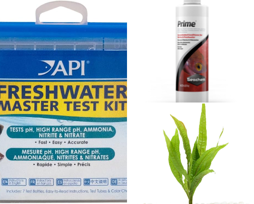 My lovely fish tank journey ! cover photo collage