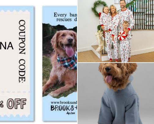 dog clothes cover photo collage