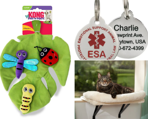 Cozy Cat Corner 🐈🐾 cover photo collage