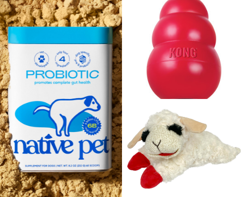 Dog Must Haves cover photo collage