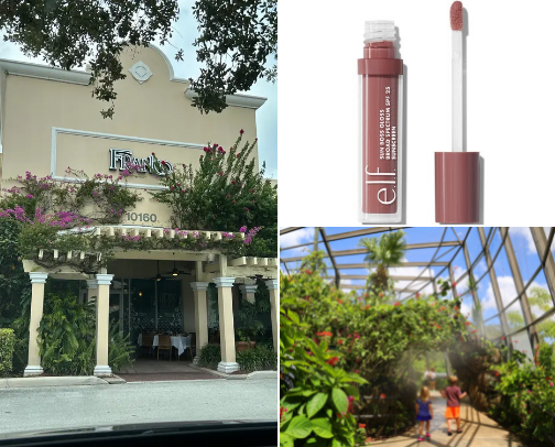 My top Coconut Creek recs cover photo collage