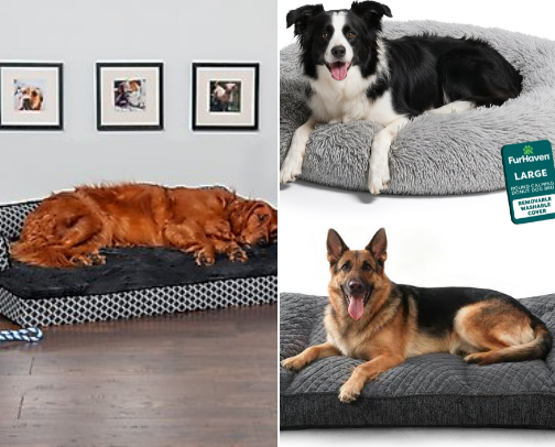 All things for cats and dogs cover photo collage