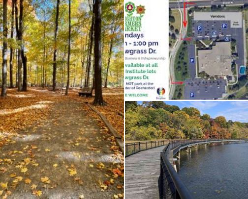 Hot mom things to do in Rochester cover photo collage