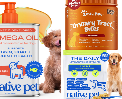 Dog health and wellness recommendations cover photo collage