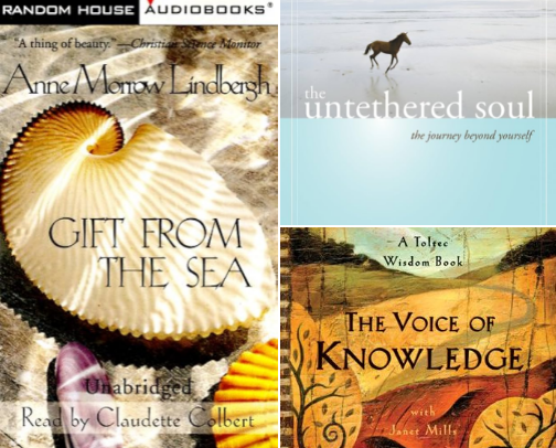 Books that Whisper Peace and Quiet cover photo collage