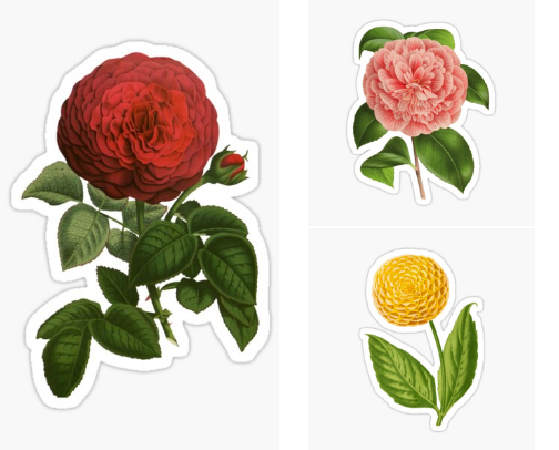 Stickers of Antique Flowers cover photo collage