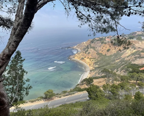 My Favorite Spots in LA's South Bay cover photo collage