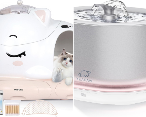Bougie cat essentials: spoiled fur babies 🩵 cover photo collage