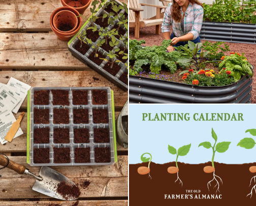 Gardening Projects cover photo collage