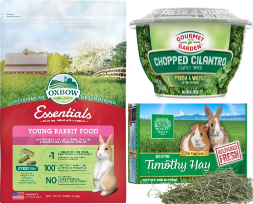 Bun-tastic picks🐰 cover photo collage