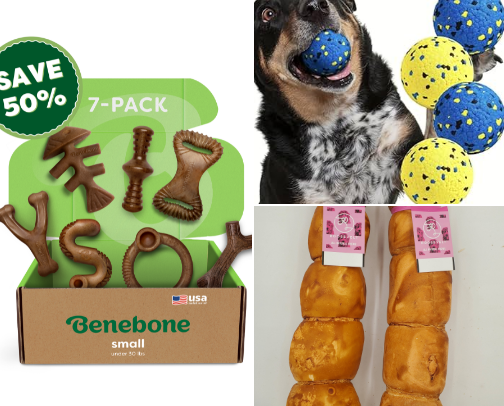 Dog Toys for Aggressive Chewers 🦴 cover photo collage