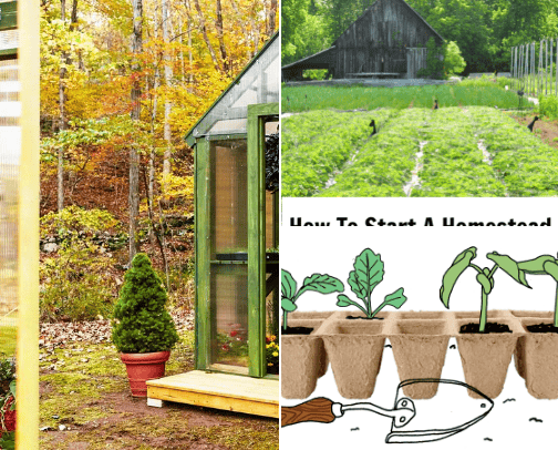 Homesteading, Gardening, Canning and more cover photo collage