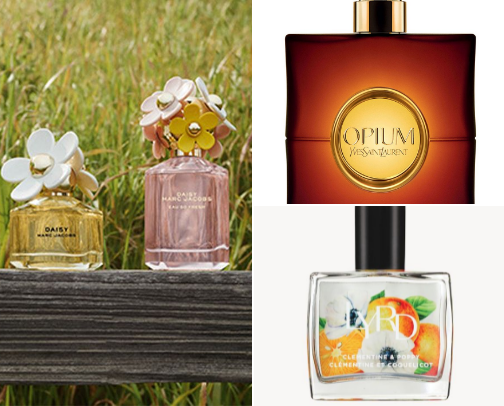 Best Perfumes cover photo collage