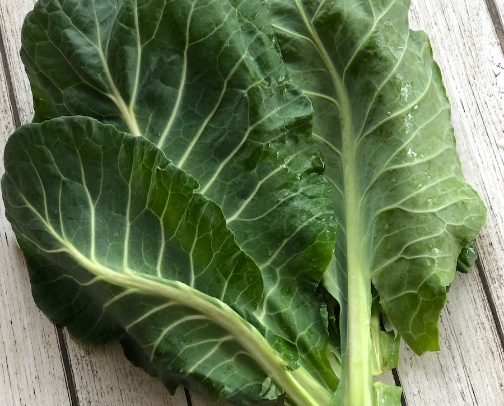 Surviving 2026 : War Pantry cover photo collage