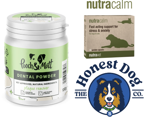 Dog supplements cover photo collage