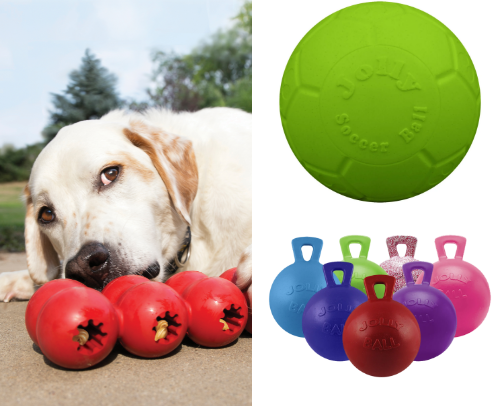 Dog Favorites cover photo collage