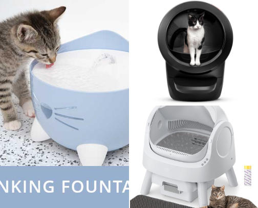 Cat Ownership, Upgraded: Essentials You Didn’t Know You Needed 😻 cover photo collage