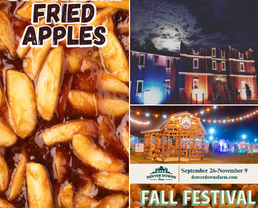 🍁 Fall Magic, All in One Place cover photo collage