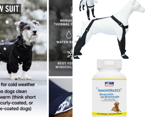 Dog Care cover photo collage