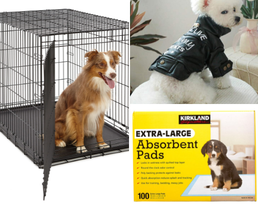 Doggie Supplies 101 cover photo collage