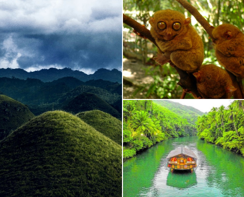 Must- Visit Places in Bohol cover photo collage
