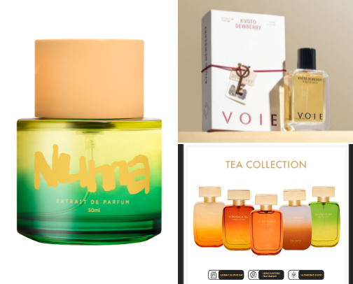 Your Best Tropical Perfume for Unisex cover photo collage