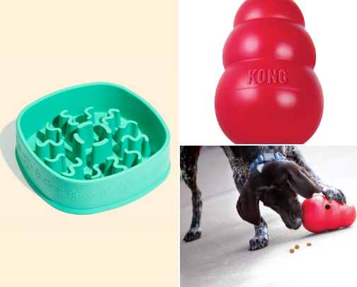 dog enrichment 🐶 cover photo collage