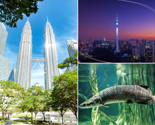 Ultimate Malaysia Travel Guide: Best Things to Do & Tours (Klook Picks) cover photo collage