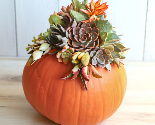 Canyon & Coast Fall Porch Inspiration cover photo collage