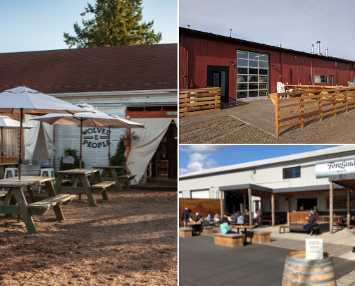 Favorite Breweries in the Willamette Valley cover photo collage