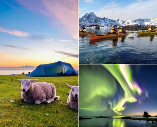 🇳🇴 Lofoten Islands – Wild Nature, Cozy Spots & Arctic Magic cover photo collage
