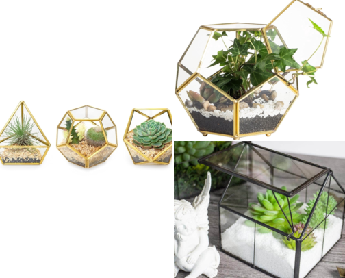 DIY Terrarium Kits: 18 Bestsellers for Glass-Garden Magic 🪴 cover photo collage