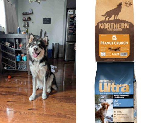 Thorfinn 's Favs 🐾🐶 cover photo collage