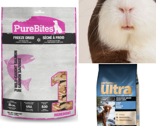 Thorfinn 's Favs 🐾🐶 cover photo collage