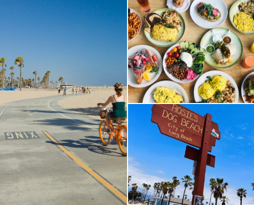 Beach Baddies in LA ~ sunning and soaking all day cover photo collage