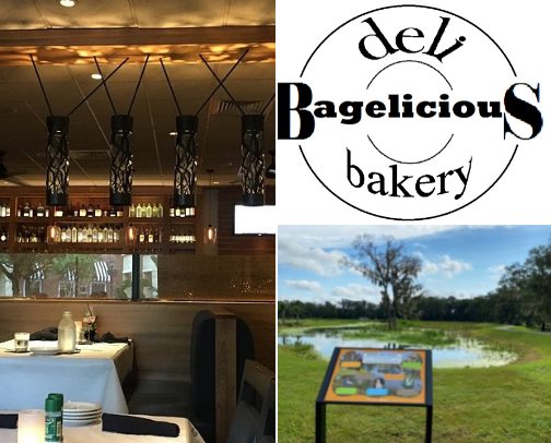 My top Ocala recs cover photo collage