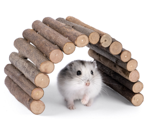 Small mammals supplies (not sorted by species) cover photo collage