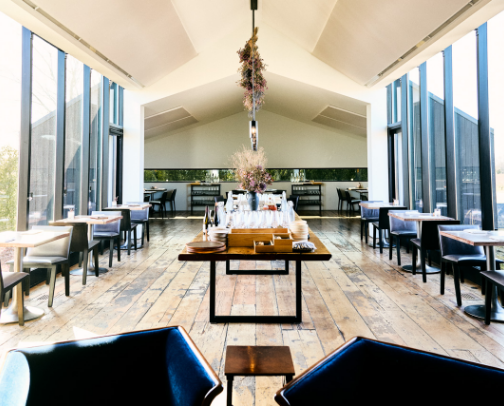 My top Toronto recs cover photo collage