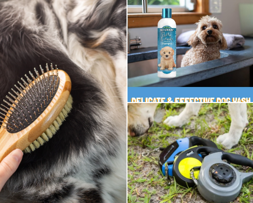 Pets cover photo collage